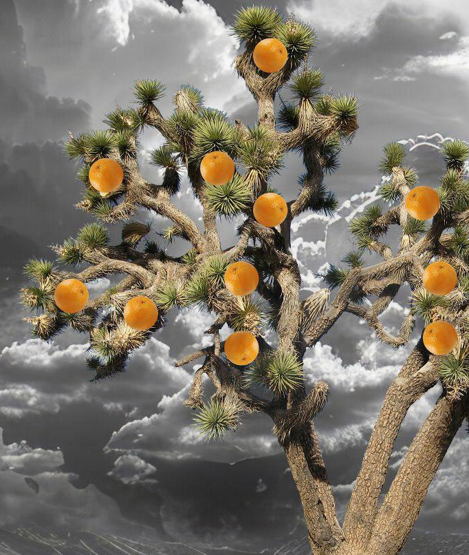 Hope Springs Eternal: Ansel Adams Redeux