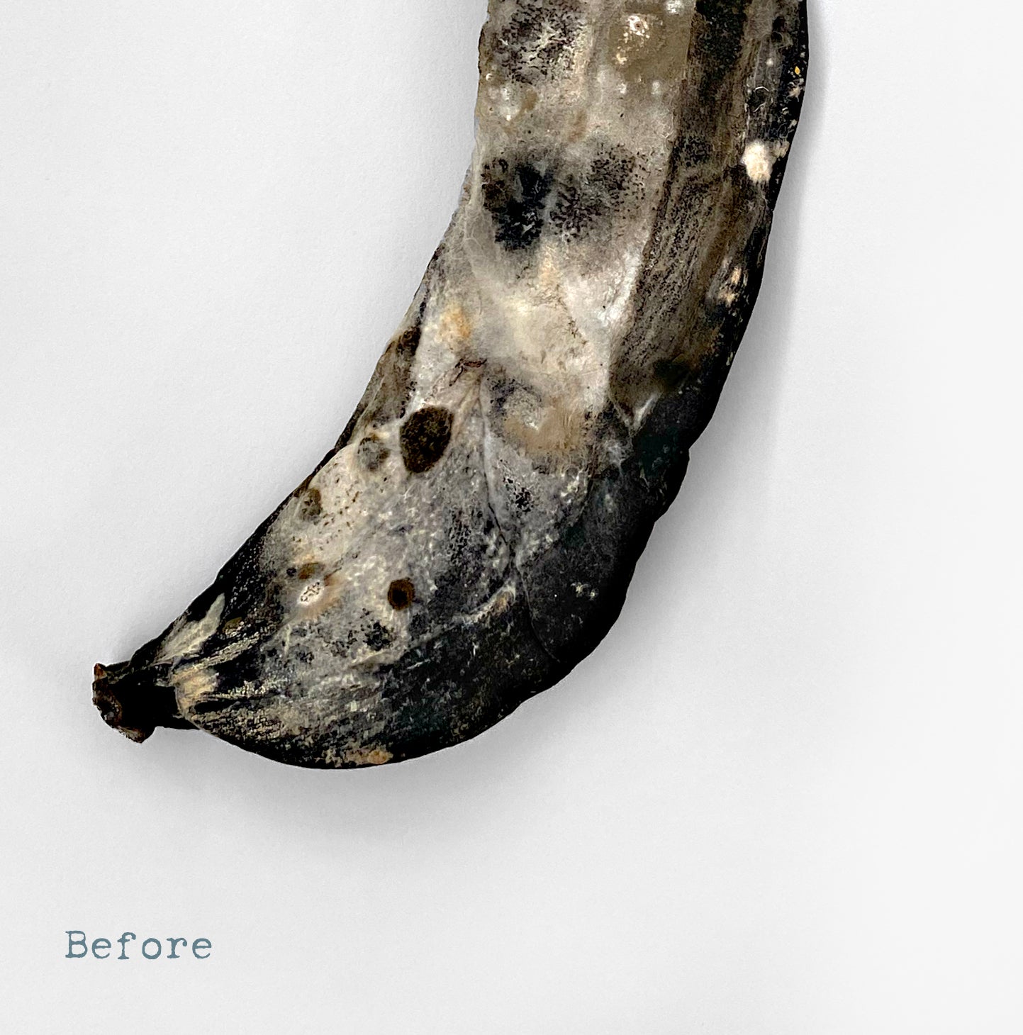 Before & After: Bananas