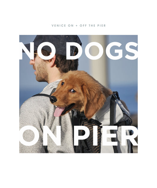 "No dogs on pier"