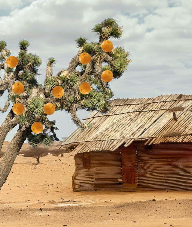 Hope Springs Eternal: Darfur, Sudan, Day